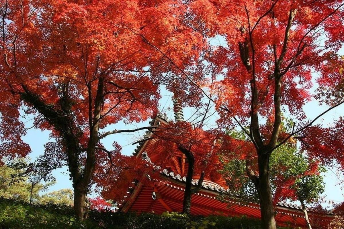 Ishiki - Location 2 Min Hiroshimjr Station, Up To 10 Ppl